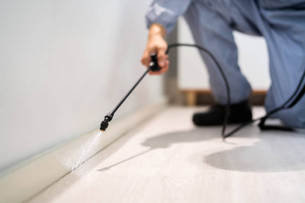 Licensed Termite Control service in Yerington, NV - Nex Pest Control
